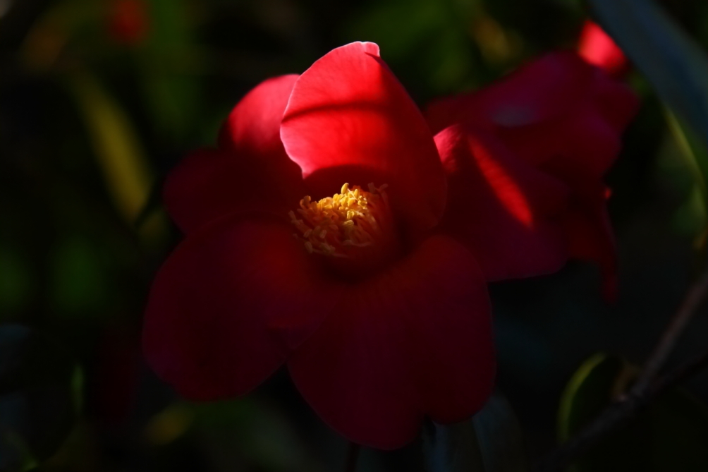 2012 04 13 9999 295